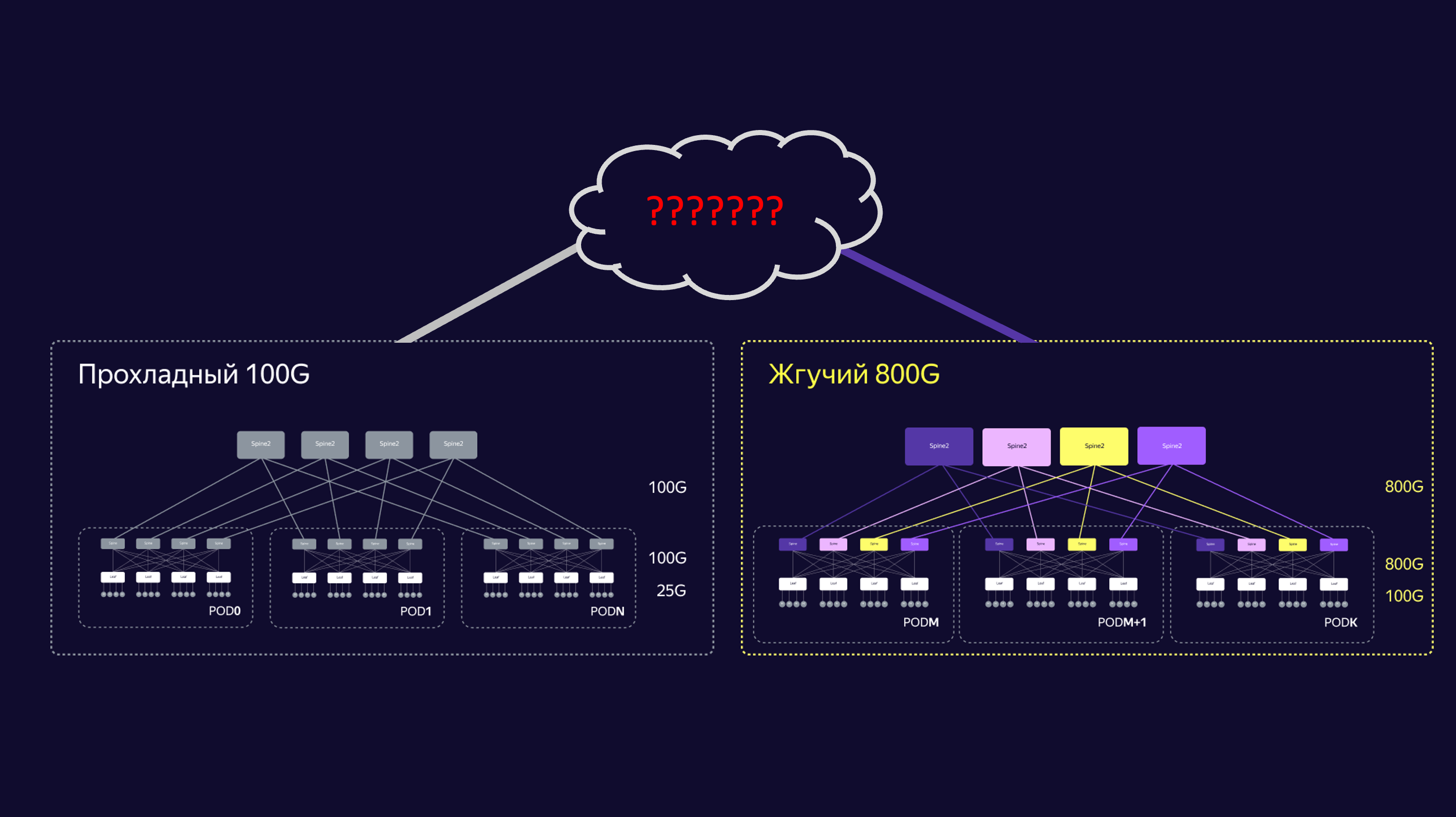 Скрещение ветхозаветной 100G и ультрасовременной 800G сетей