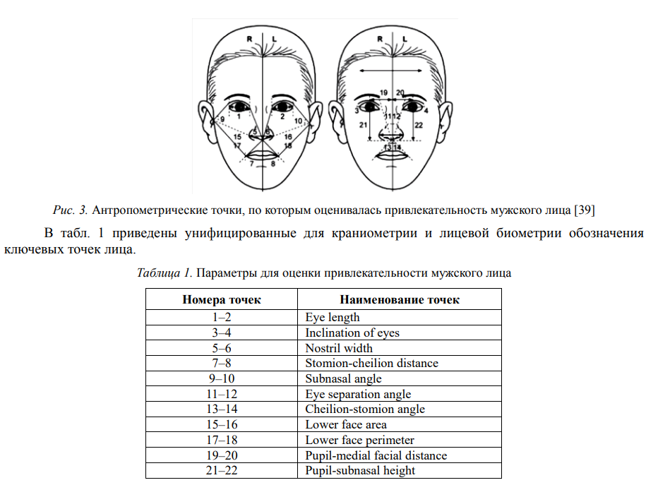 Раса, технико-биологический подход - 11