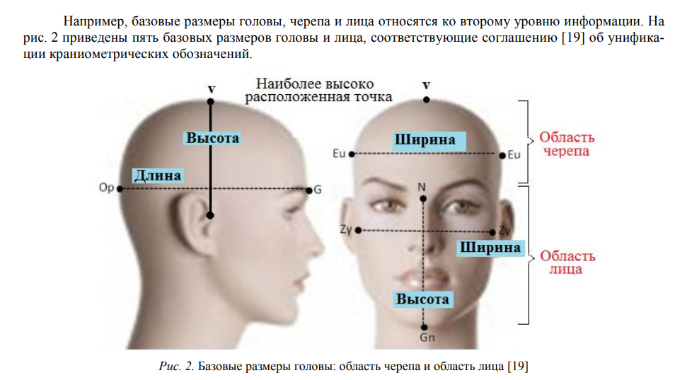 Раса, технико-биологический подход - 12