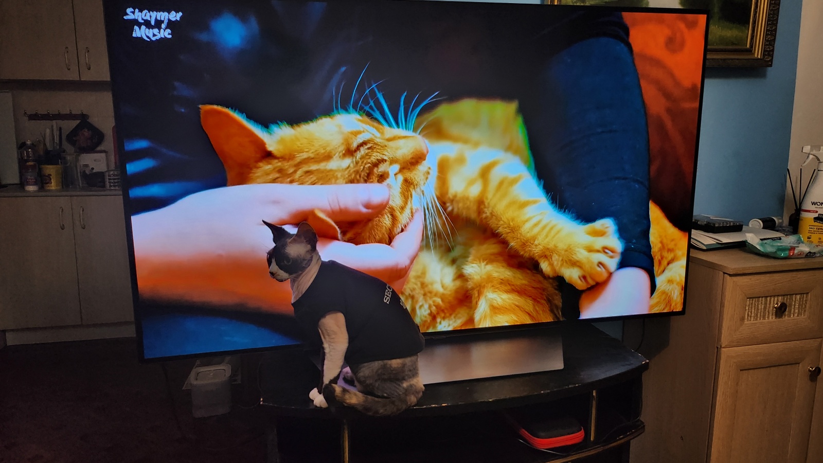 Телевизор Tuvio 4К ULTRA HD OLED Frameless — загадочный белорус - 8