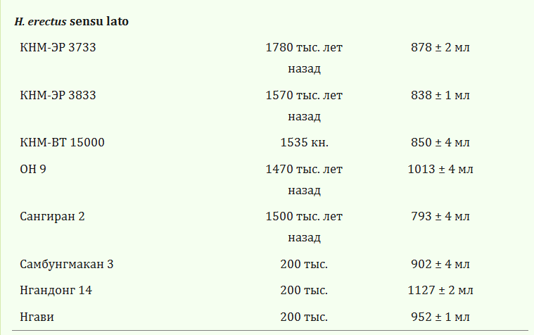 Интеллект — что это такое - 6