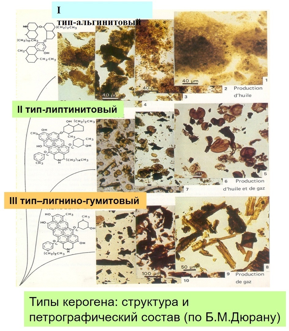 Вид керогена различных типов под микроскопом и фрагменты его структуры  