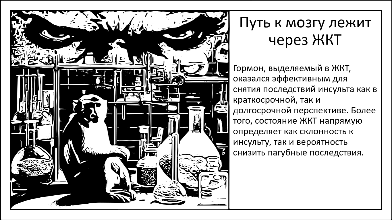 Связь между кишечником и мозгом: восстановление здоровья ЖКТ улучшает восстановление после инсульта - 1