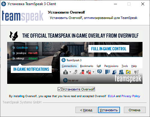 Как поднять свой сервер TeamSpeak - 10