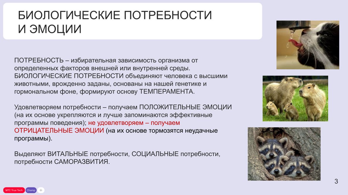 Мозг на грани: как соревновательность и экстремальные увлечения формируют наш характер - 4