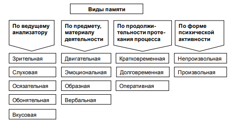 Психология. Память. Часть III - 2