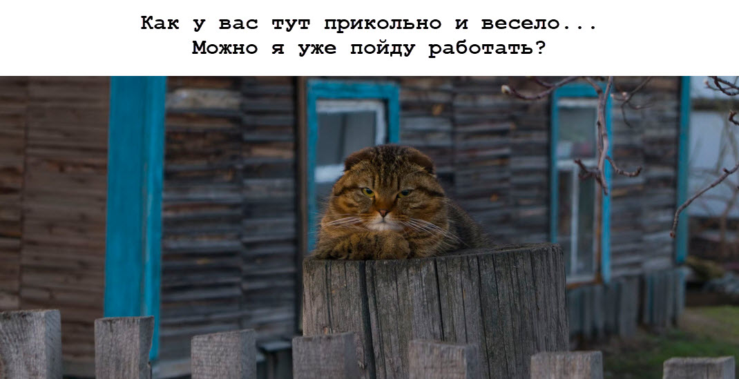 Вся правда о еженедельных созвонах, или Зачем переливать из пустого в порожнее? - 1