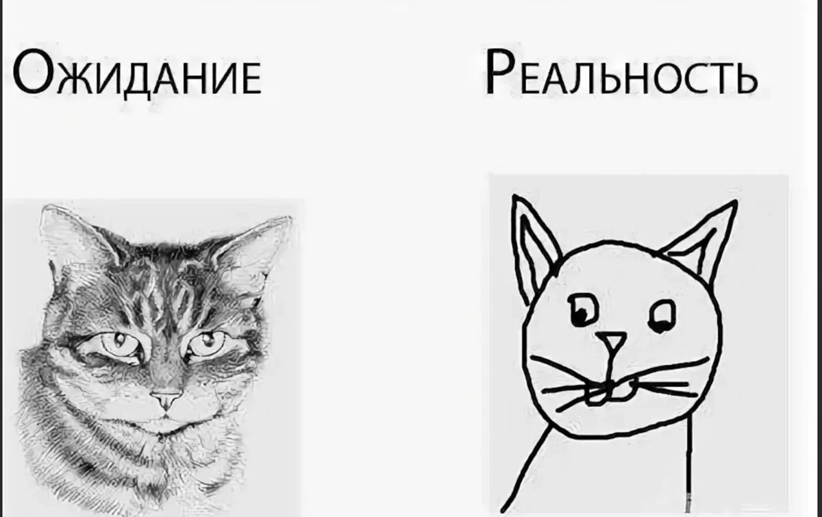 «Хотели как лучше, а получилось как обычно»: почему заказчик получает не то, что хотел? - 1