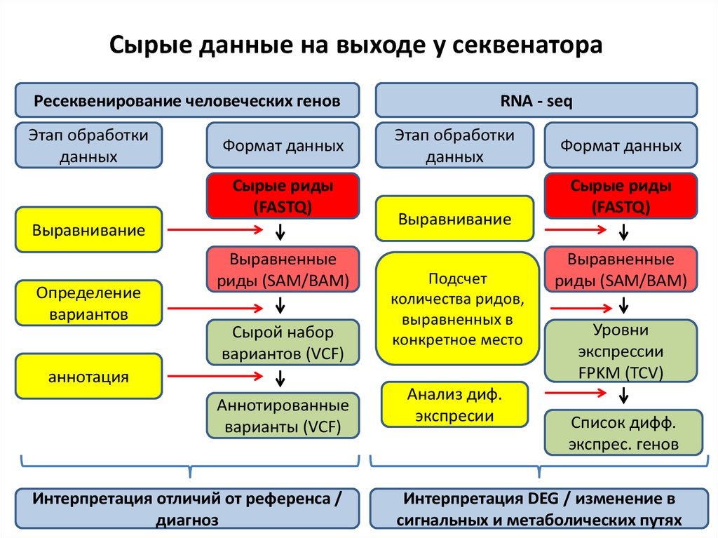 Как посчитать биологические данные и не уронить сервер и ноутбук? - 5