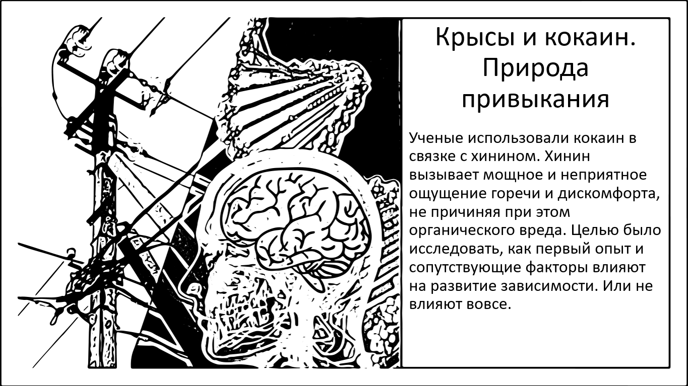 Крысы и кокаин. Первые попытки осветить природу привыкания - 1