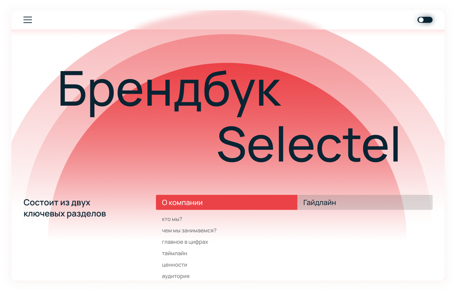 Как устроен открытый брендбук Selectel и зачем он нужен - 13