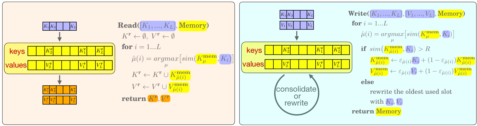 Каждый модуль AM выполняет операции чтения и записи. Операция чтения извлекает запомненные токены, наиболее похожие на собственные ключи. Операция записи обновляет состояние памяти, выполняя консолидацию, которая зависит от новизны и актуальности.
