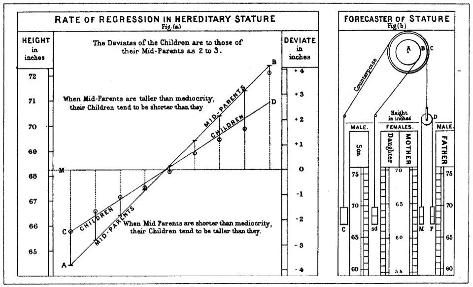 Диаграмма Гальтона, показывающая регрессию к среднему на примере соотношения роста детей и родителей (если родители имеют рост выше среднего, то рост детей будет меньше). Иллюстрация из книги Карла Пирсона The Life, Letters and Labours of Francis Galton, 1930 год.
