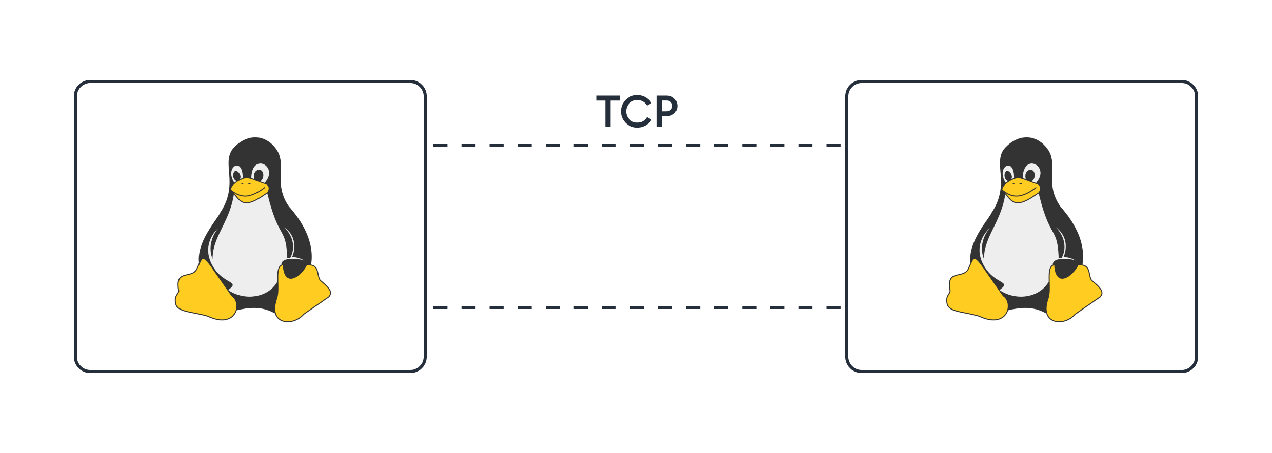 Два Linux хоста, соединенные TCP-соединением. Пунктирные линии обозначают границы TCP-соединения