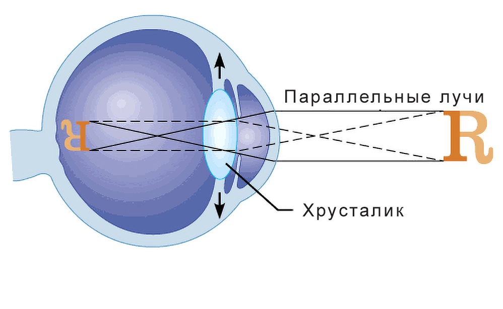 Зрение и нейронные сети — как мы на самом деле видим мир - 4