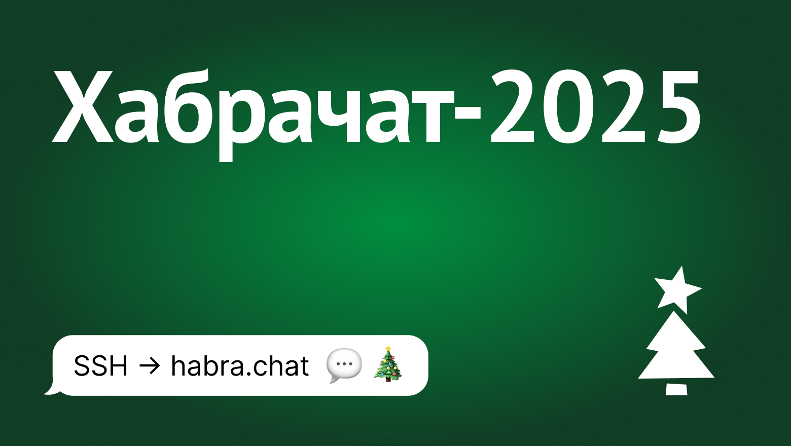 Традиционный новогодний Хабрачат-2025 - 1