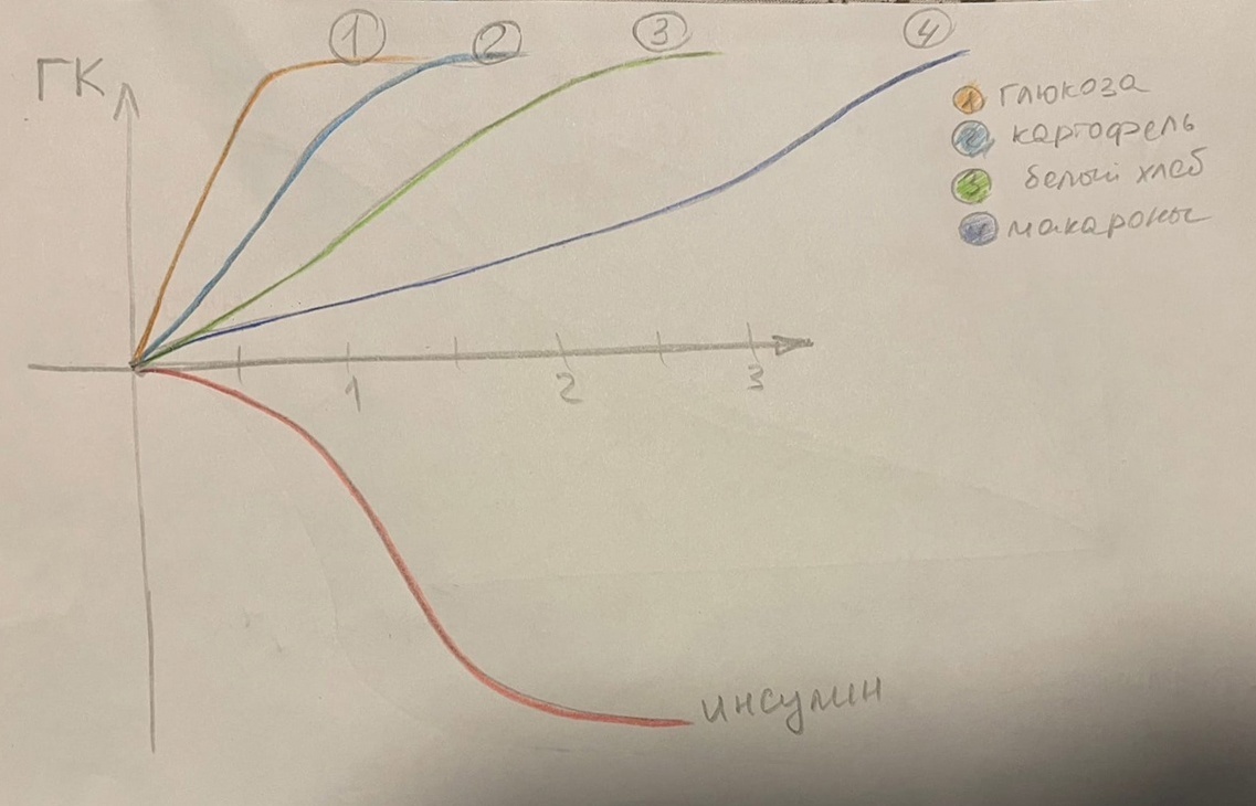 Регуляция сахара в крови - 7