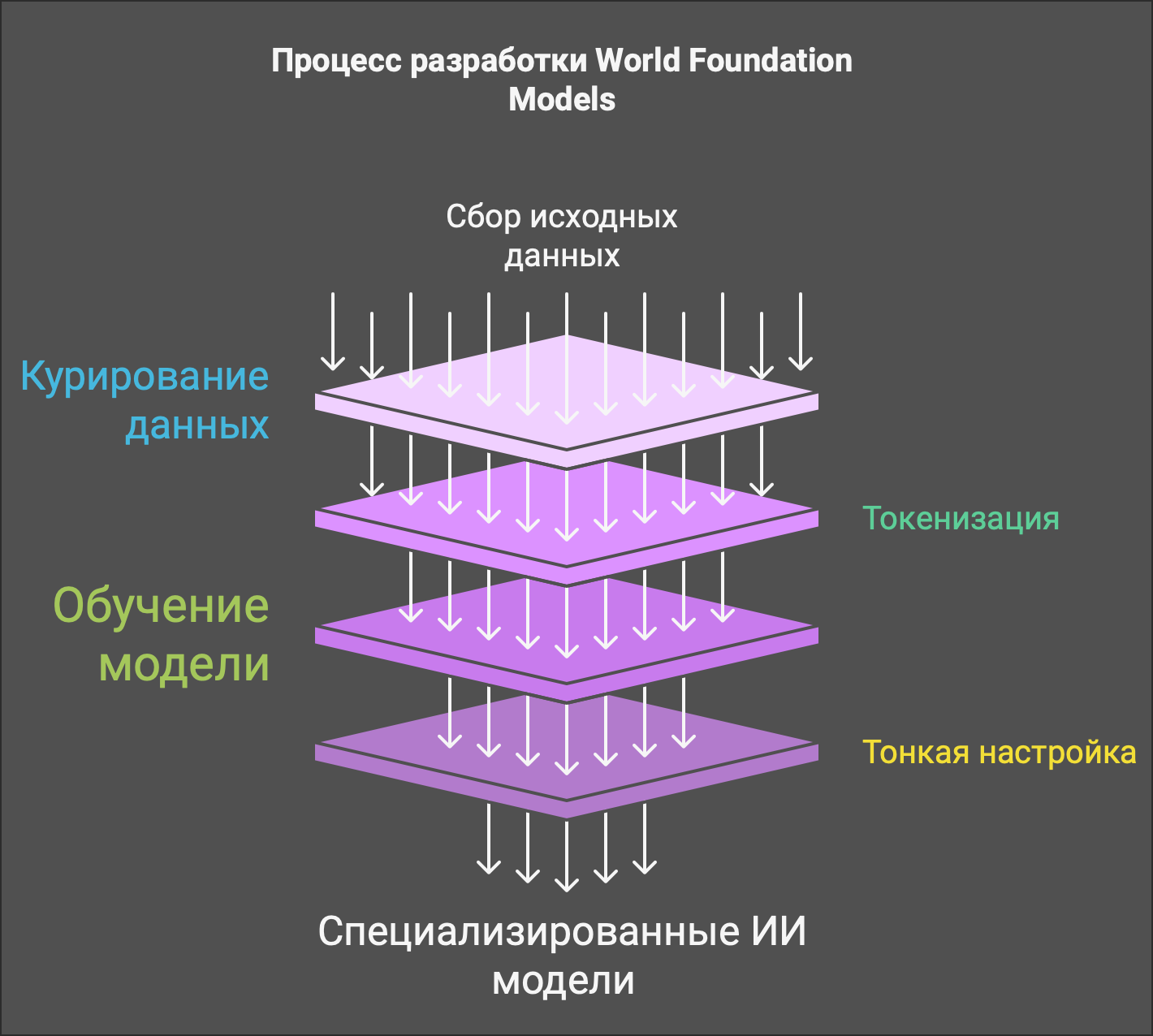 Процесс разработки World Foundation Models