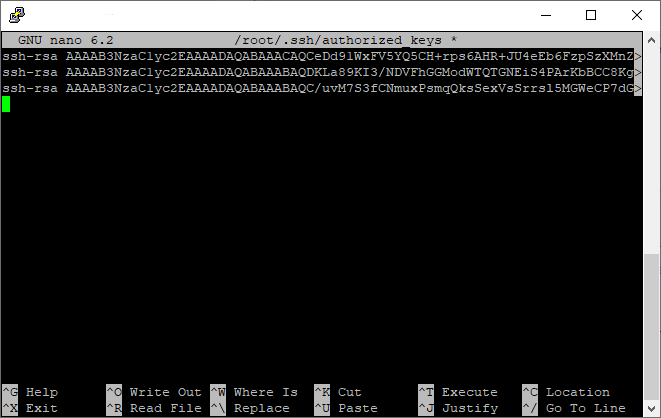 Файл с открытыми ключами SSH на сервере