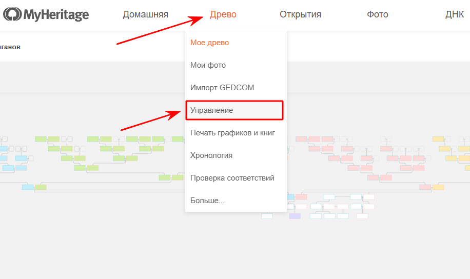 MyHeritage.com=> Древо=> Управление