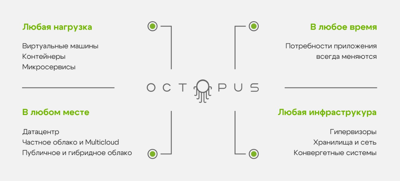 Image:Octopus.png