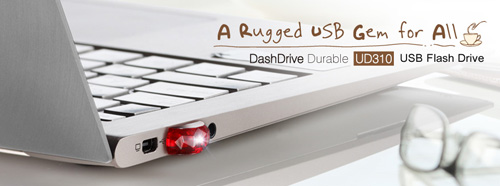 ADATA DashDrive Durable UD310