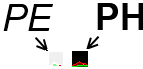 Process Explorer vs Process Hacker