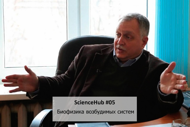 ScienceHub #05: Биофизика возбудимых систем