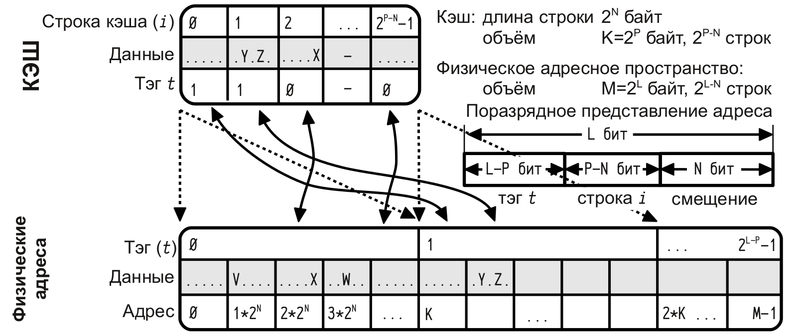 Части кэша. Строка кэш памяти. Структурная организация кэш с прямым отображением. Секторированный кэш прямого отображения. Длина адреса кэш.