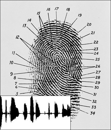 Голосовые отпечатки: скорее всего, вы уже успели «наследить»