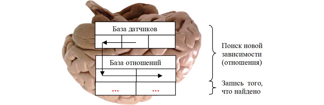 База отношений