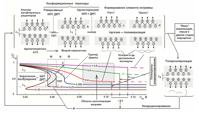 Логика мышления. Часть 4. Фоновая активность