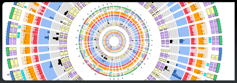 Обзор Circos: круг — это хорошо