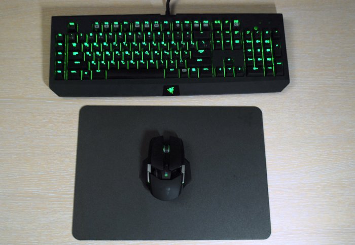 Обзор Razer Ouroboros и Blackwidow. Или как я клавиатуру с мышкой менял