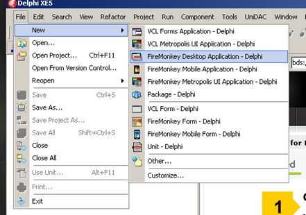 Создание нового FM приложения в Delphi